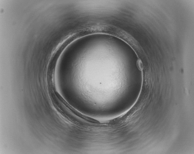 X0000076350722200609291156