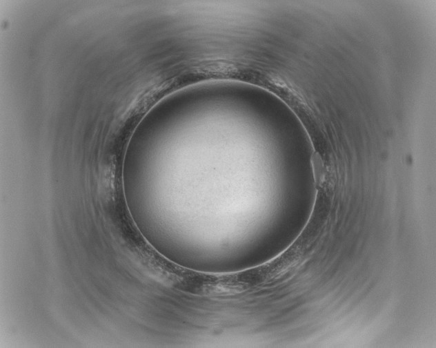 X0000076350739200609291156