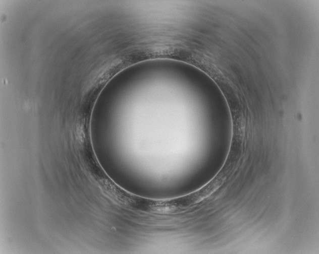 X0000076350746200609291156