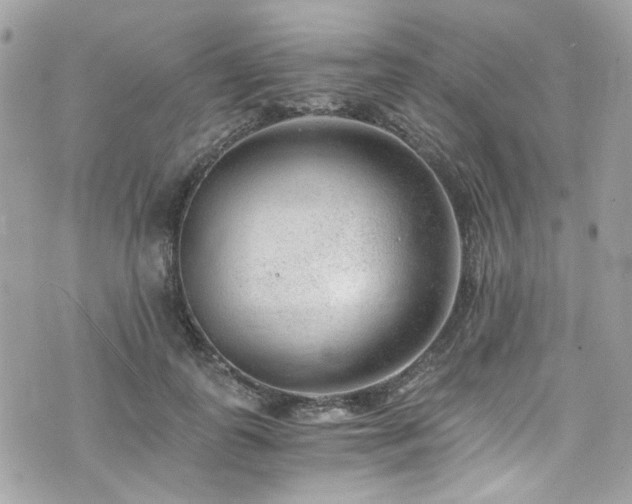 X0000076350747200609291156