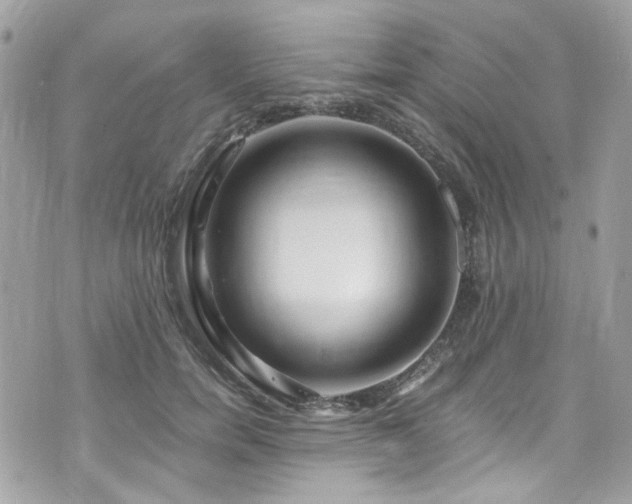 X0000076350750200609291156