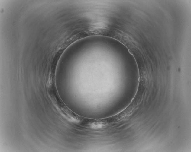 X0000076350751200609291156