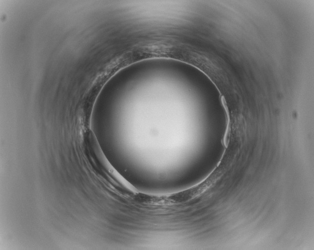 X0000076350752200609291156