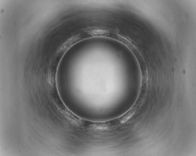 X0000076350763200609291157