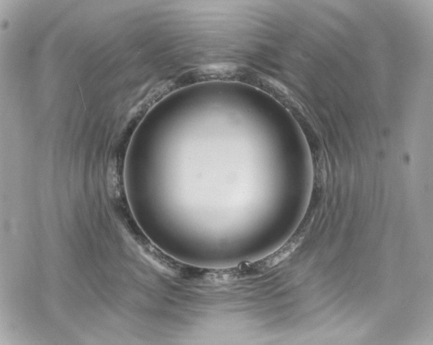 X0000076350764200609291157