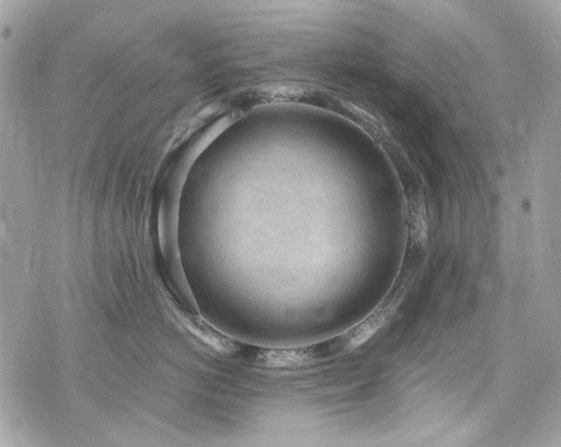 X0000076350766200609291157