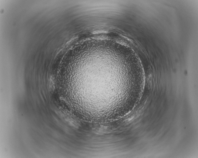 X0000076350772200609291156