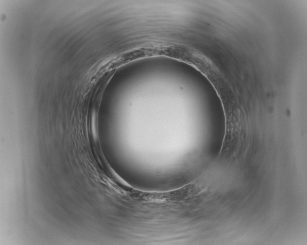 X0000076350773200609291156