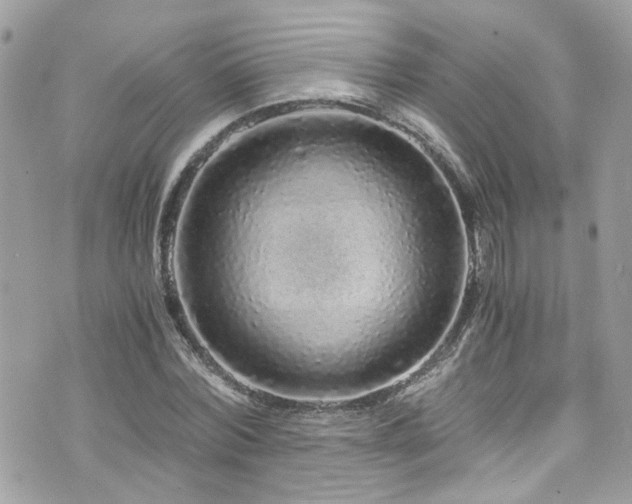 X0000076350780200609291156