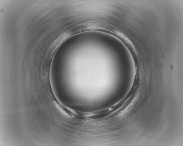 X0000076350801200609291155