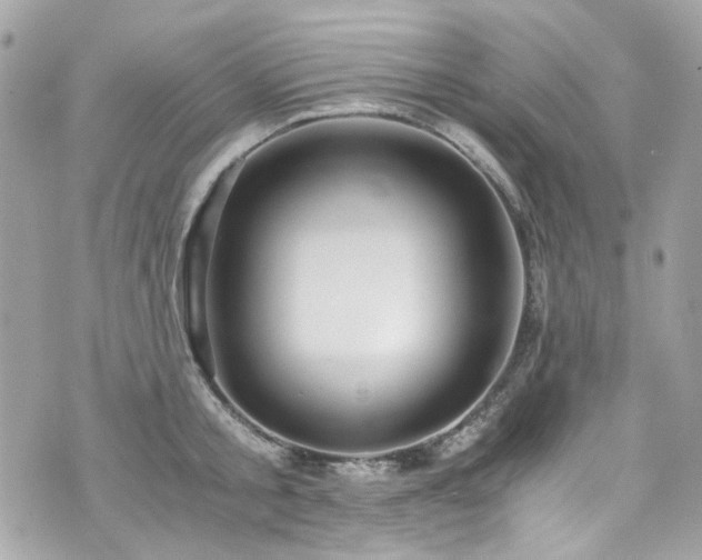 X0000076350805200609291155