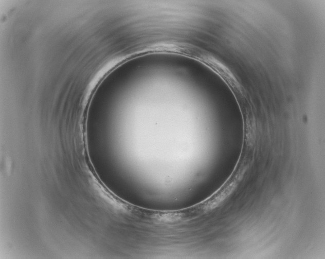 X0000076350808200609291155