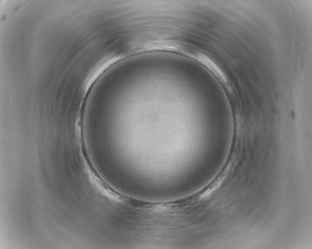 X0000076350814200609291155