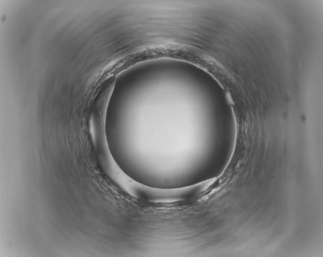 X0000076350822200609291154