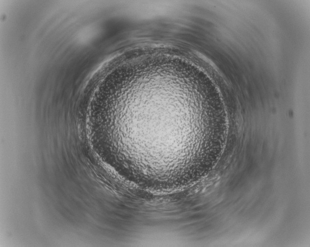 X0000076350823200609291155