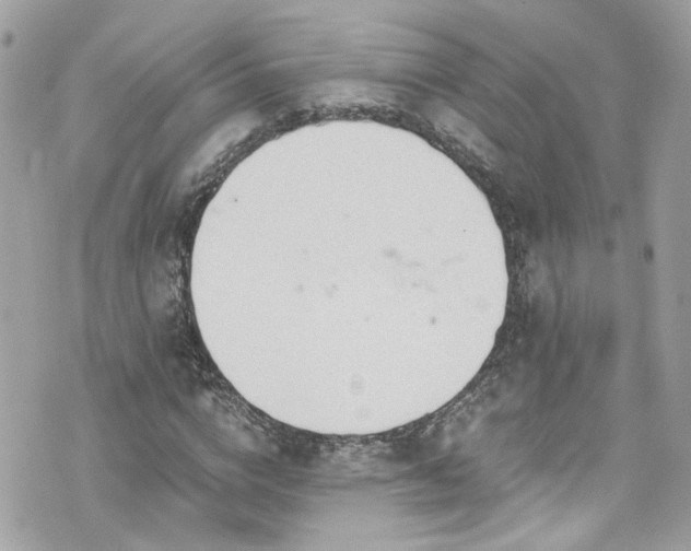 X0000076350824200609291155