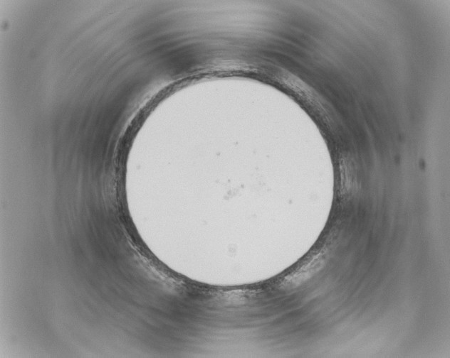 X0000076350828200609291155