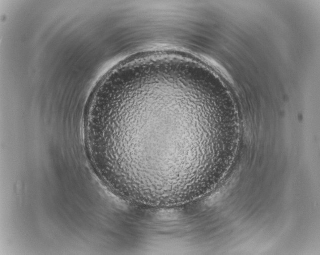 X0000076350839200609291155