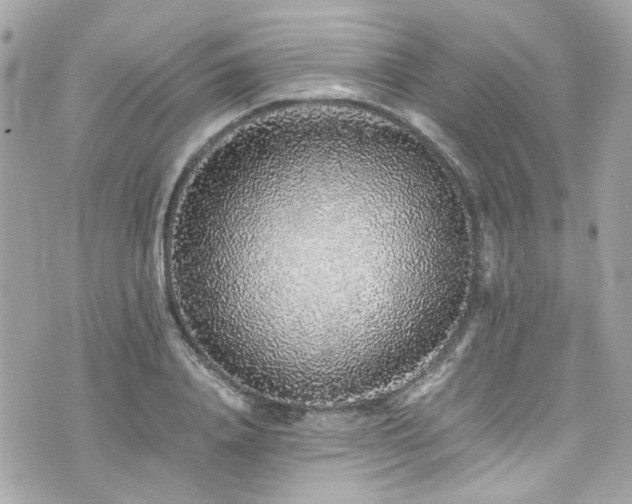 X0000076350840200609291155
