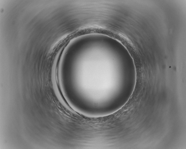 X0000076350872200609291154