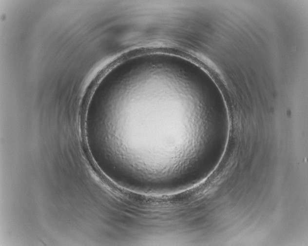 X0000076350935200609291153