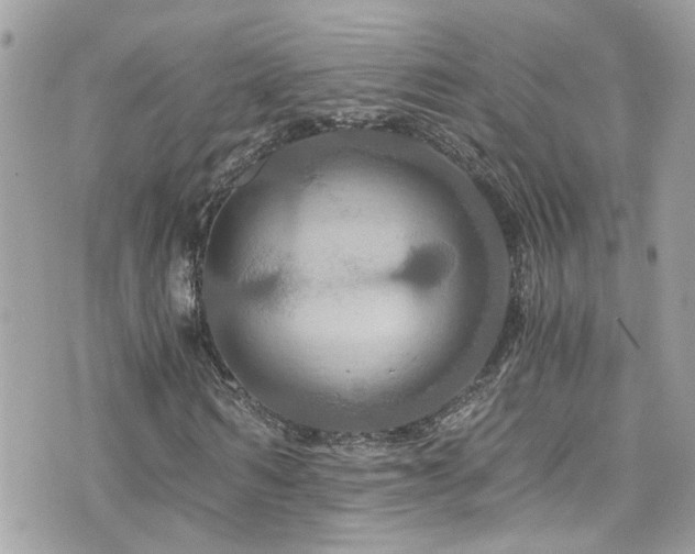 X0000076350962200609291153