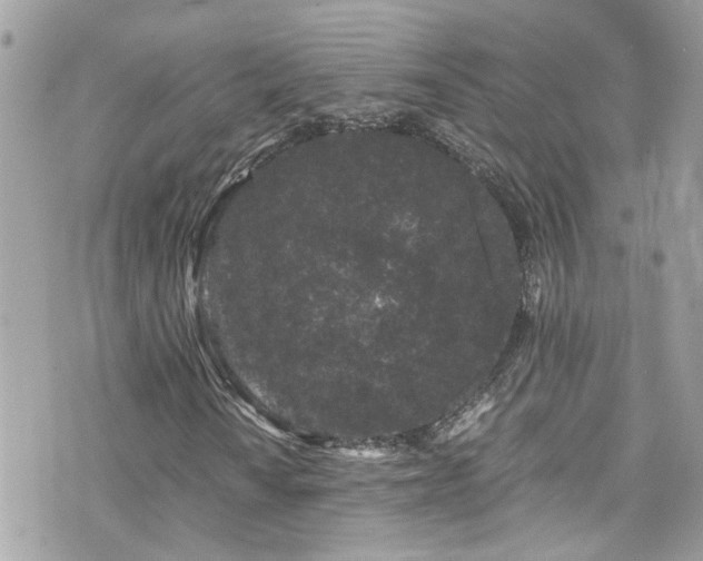 X0000076351010200609291151