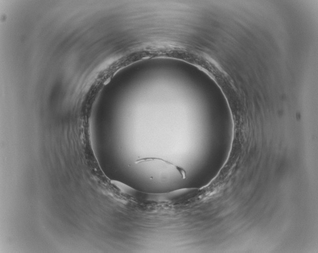 X0000076351016200609291151