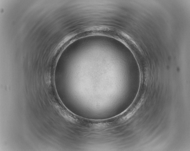 X0000076351017200609291151