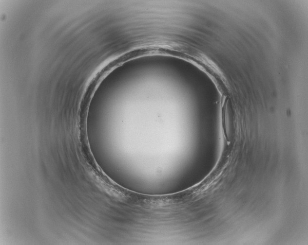 X0000076351020200609291151