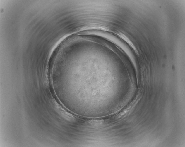 X0000076351068200609291151