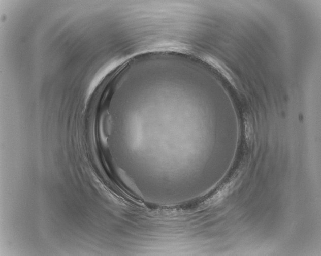 X0000076351069200609291151