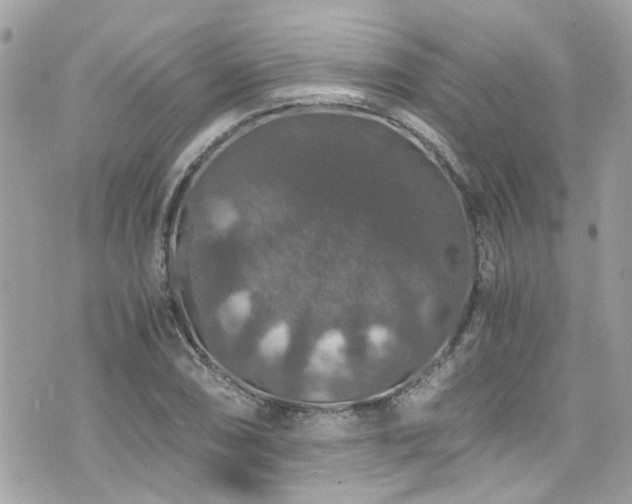 X0000076351074200609291151