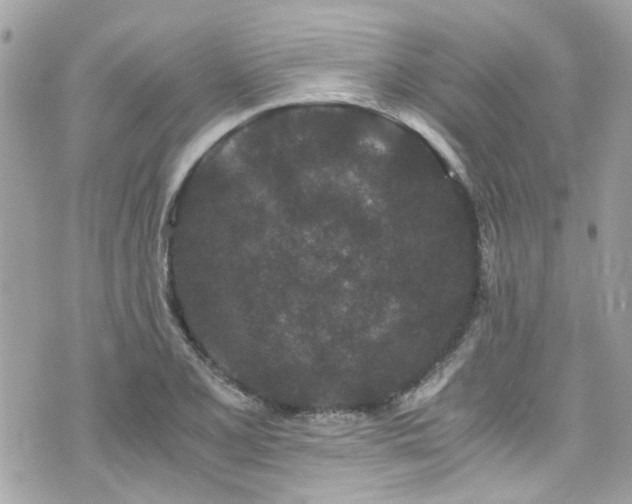 X0000076351077200609291151