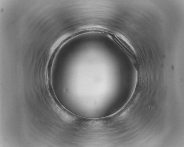 X0000076351082200609291151