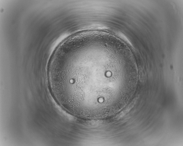 X0000076351087200609291151