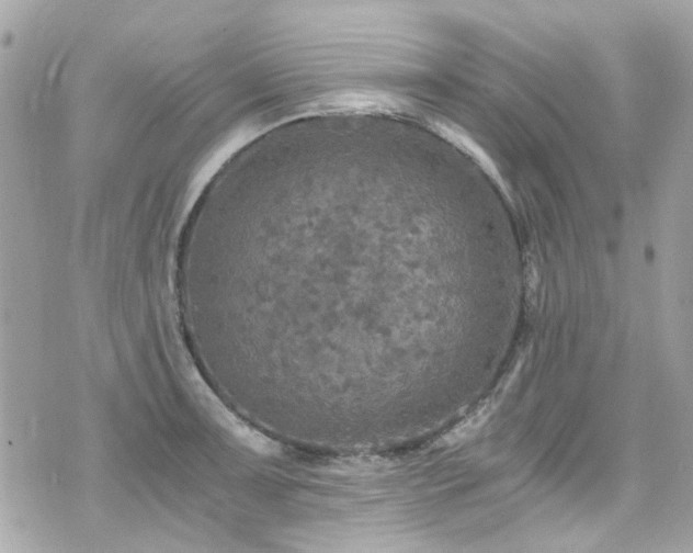 X0000076351091200609291151