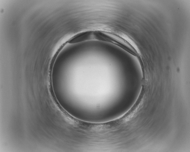 X0000076351093200609291151