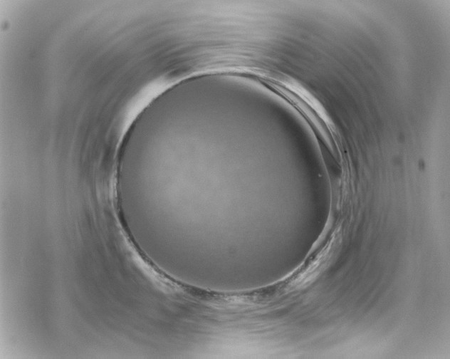 X0000076351101200609291151