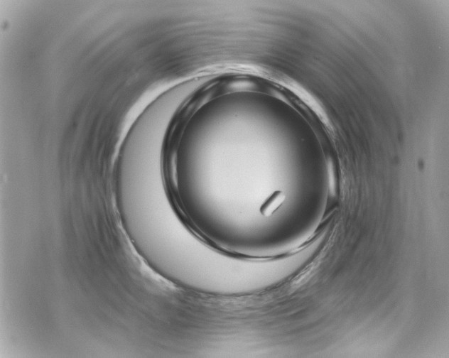 X0000076351102200609291151