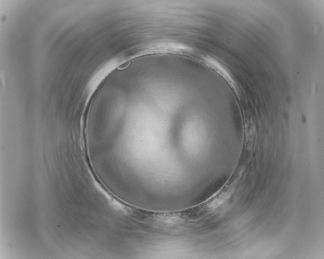 X0000076351103200609291151