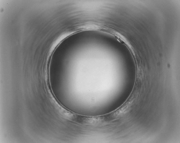 X0000076351195200609291149
