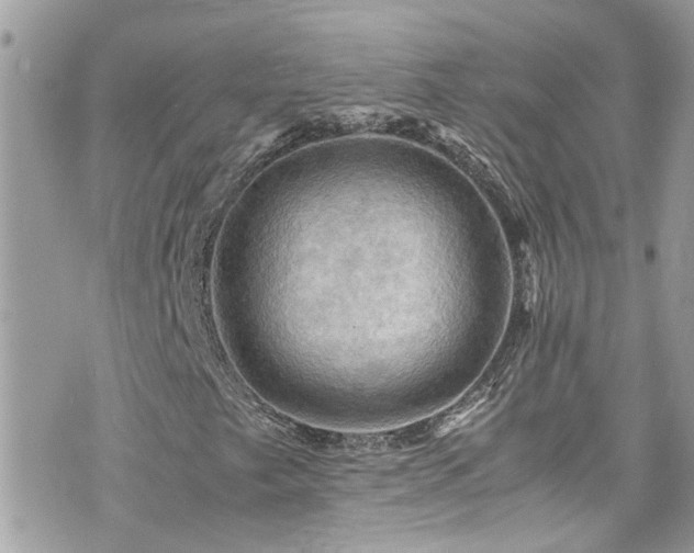X0000076351249200609291148
