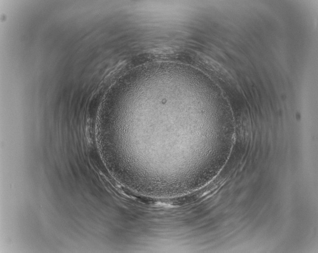 X0000076351346200609291147