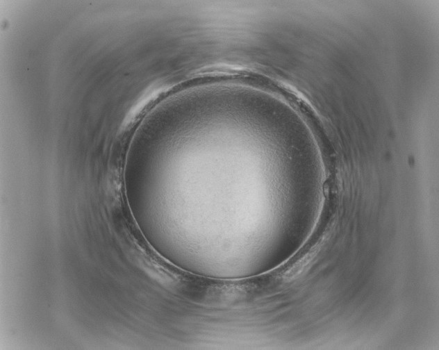 X0000076351355200609291146