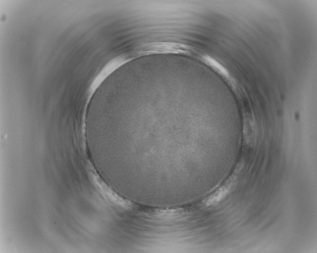 X0000076351378200609291146