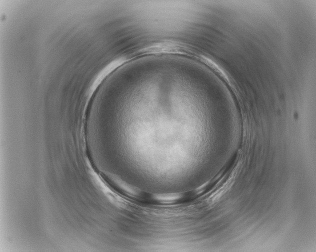 X0000076351434200609291146