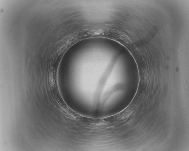X0000076351442200609291145