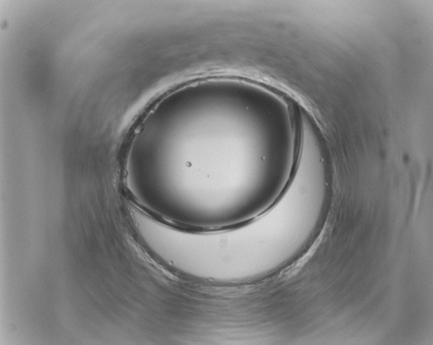 X0000076351502200609291144