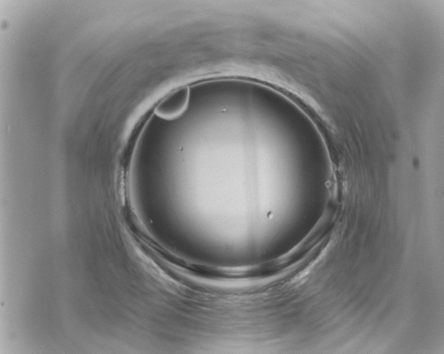 X0000076351510200609291144